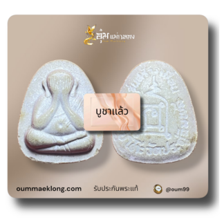 พระปิดตาปลดหนี้ รุ่นสร้างเขื่อน ปี 36 เนื้อเกสร