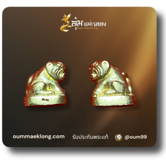 เสือจิ๋ว รุ่น 5  ปี 54
